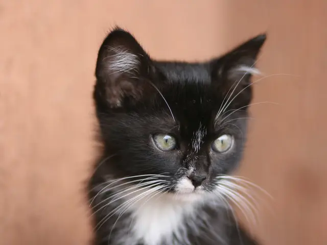 Law enforcement seeks individuals who may have observations regarding a hit-and-run incident