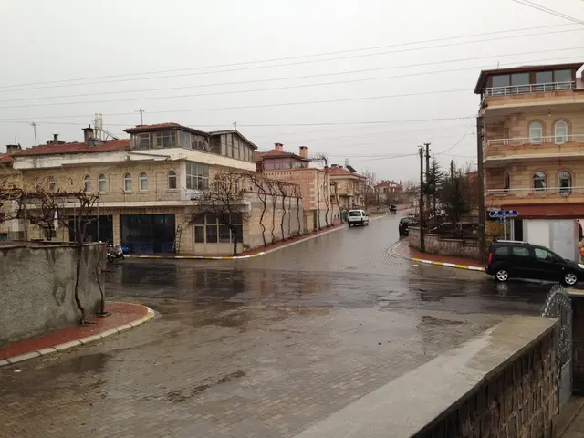 Electric Semi Truck from MAN CEO: Sets Payout for Itself in 3 Years (*)