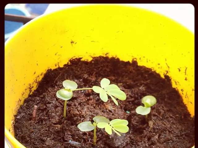 Exploiting Wild Cousins and Soil Microorganisms for Durable Agricultural Produce