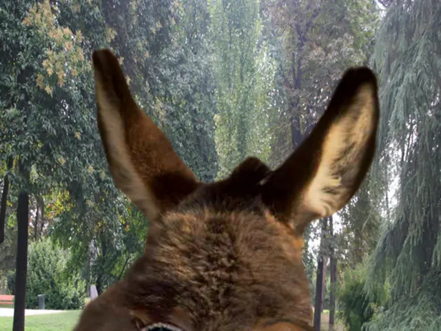 Time Frame for Brown Grass to Regain Greeness: Detailed Insights