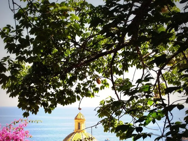 Unappreciated Coastal Jewel North of West Palm Beach, Florida, Boasts Abundant Sea Turtles