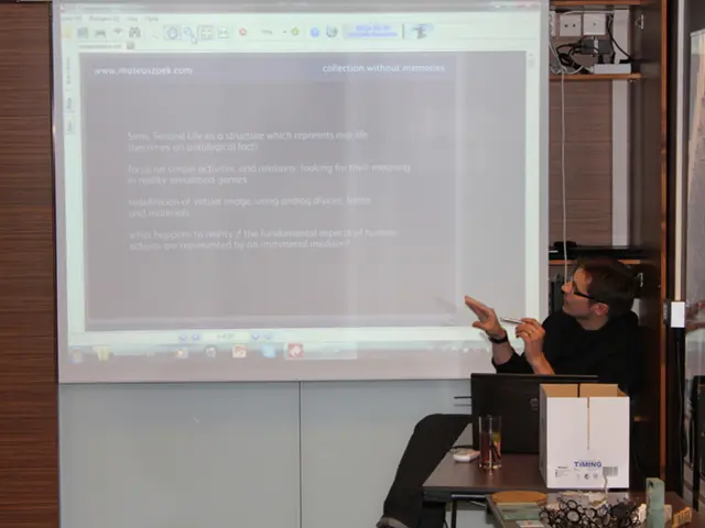 Future Direction: ViewSonic 2024