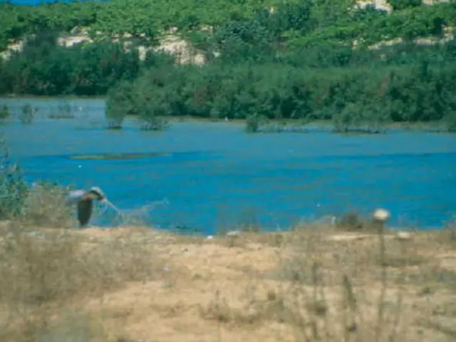 Summertime silent drought: Expert horticulturist issues warning