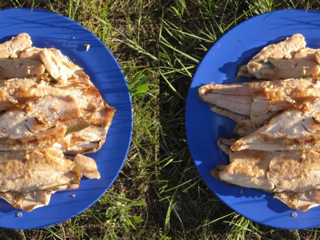 World Organization Urges Governments to Boost Adoption of Synthetic Meat and Alternative Protein...