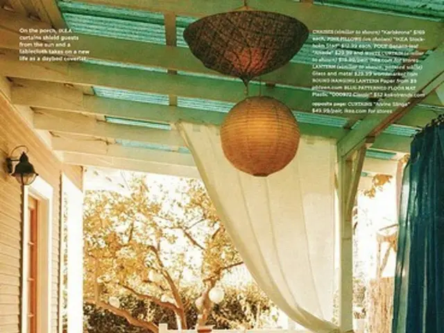 Live It Up in This Enchanting Rustic Loft Surrounded by Palm Trees!