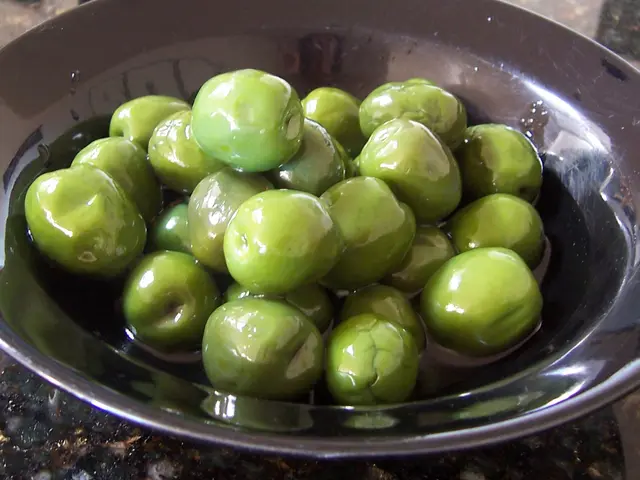 Booming Oil Tourism: Exploring the Popular Destinations of Olive Oil Production