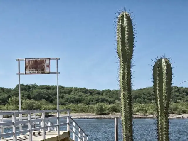 Top-quality Rioja Wines are currently at their peak - here's the reason behind it