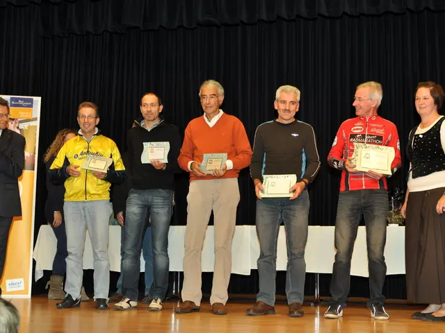 Strategies of the political parties regarding the intermediary.