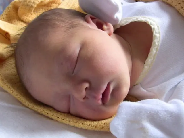 County Initiates Integration through Nursing and Textile Job Training Programs in Regensburg