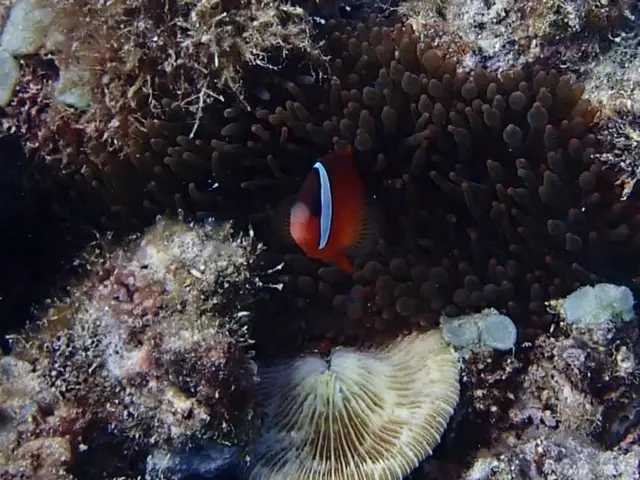 Observe: Researchers innovatively tackle a stubborn predicament.