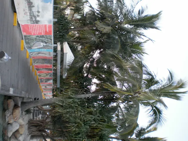 Prime Hiking Routes in Cyprus for Nature Enthusiasts