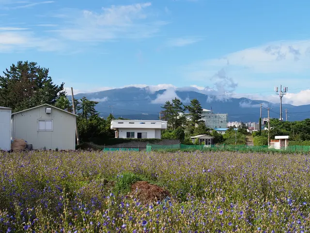 Impact of Google's $3 billion investment on obsolete hydroelectric facilities