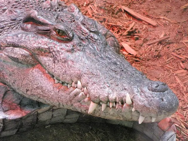 Authorities instigate a nighttime restriction in Njoro due to fatal tribal conflicts resulting in...