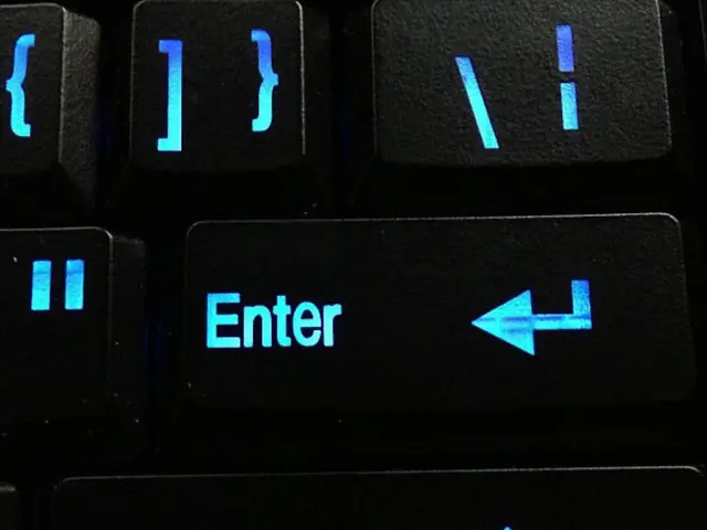 Updates: TikTok Studio Editor Fails to Display or Function Properly