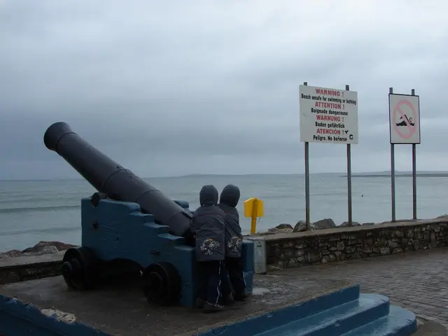 Judge's Admonishment Implications for Trump's Pursuit of Deploying Troops in Democratic Urban Areas