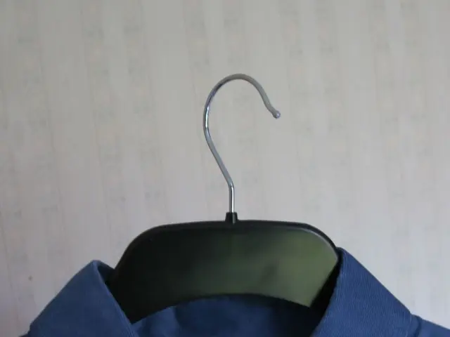 Thieving pretender swipes accessories in Wolfsburg, posing as artisan