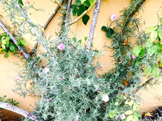 Autumn Shrubbery: Adding Green to Fall's Shadows