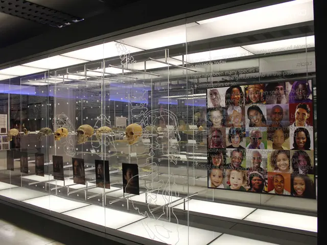 Corpse Discovered at Silbersee: Authorities Amplify Information Drive for Inquiry