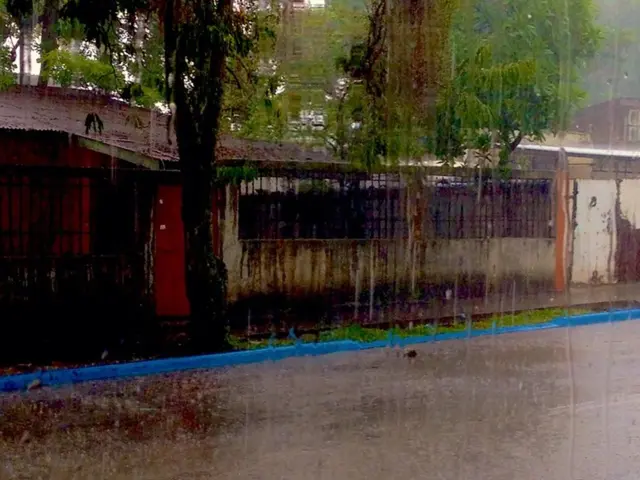 Intense downpours and thunderous storms in the southwestern region