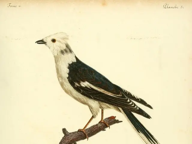 Robin Wright expresses her thoughts on relocating to the United Kingdom: "America is in chaotic...