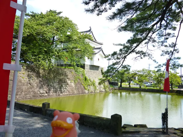 Remodeled Finnish Abode, Originated from a Previous School Building