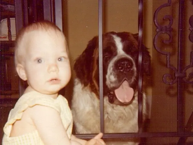 Distressed Nine-year-old Rottweiler Suffers Severely from Biting Incident