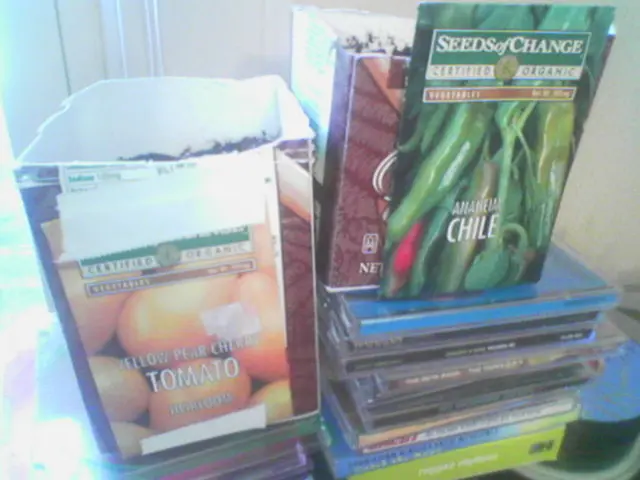 U.S.-based Amkor's massive chip packaging plant in Arizona may fill domestic chip production gaps -...