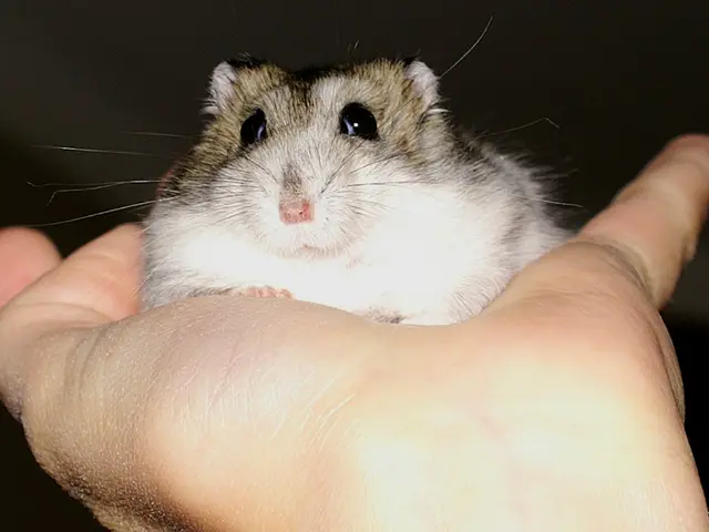 Left-Handed Version of Logitech MX Master 3S Successfully 3D Printed, Altering Design to Cater to...