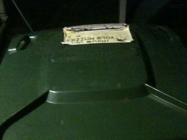 Remains discovered inside a suitcase in Filderstadt-Bonlanden - initial investigation results