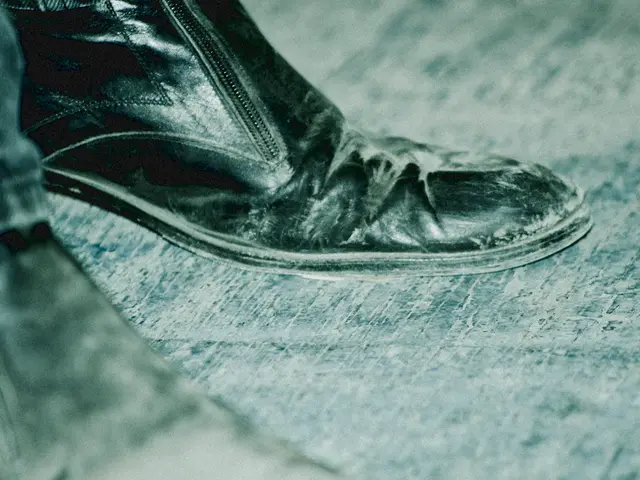 Museum in the City: Exhibition showcasing comics based on the historical project "Emotions'...