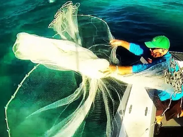 Giant Wind Turbine Outperforms Coal and Gas Power Plants - What Makes the Giant Propeller So...