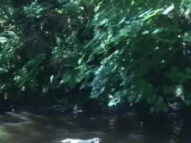 Trump's actions are rooted in the 1944 treaty, as he now poses a threat to this particular nation.