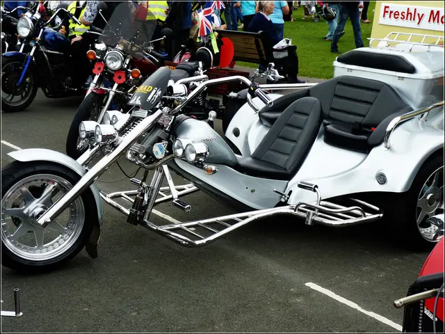 Lüneburg Heath poised to break existing records