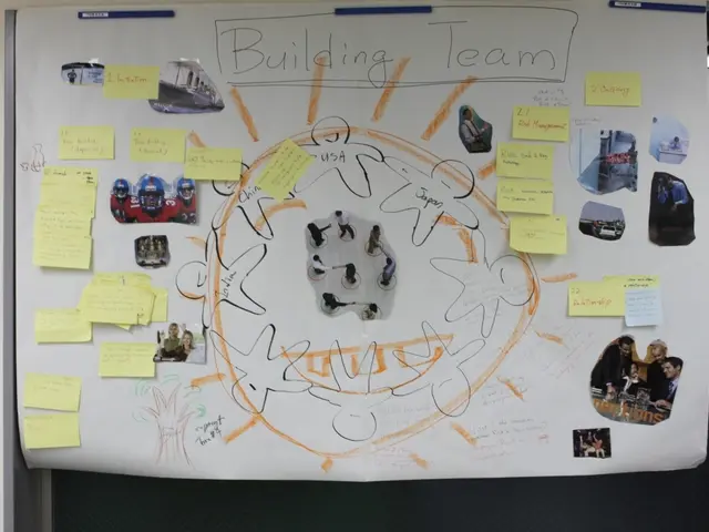 Develop a Structured Schematic for Your Informative Graphic Based on a Pre-existing Article