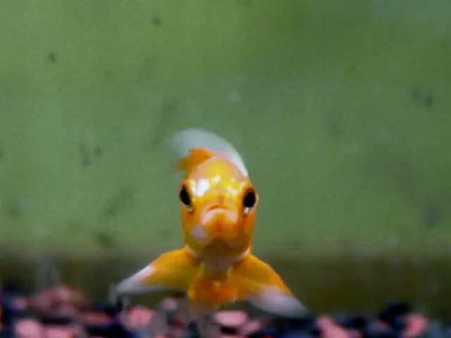 Song "Golden" maintains its top spot on Billboard's Hot 100 chart