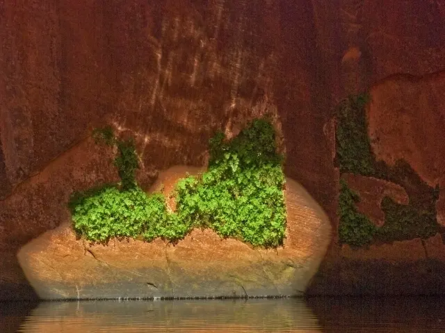 Ransomware poses a threat to water and wastewater treatment facilities, according to a caution...