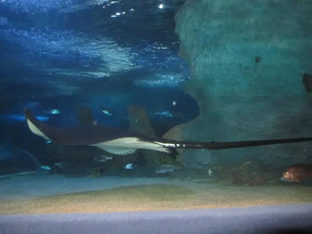 "Nauseating development": PSL detective's undercover operation on the dark web results in the...