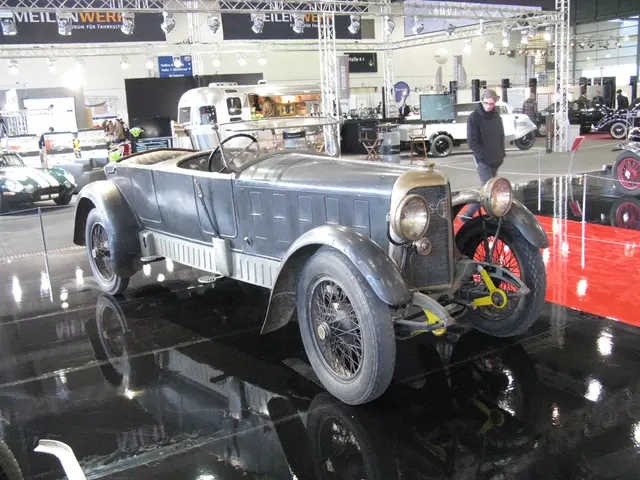 Criminals apprehended for automobile theft in Marienburg