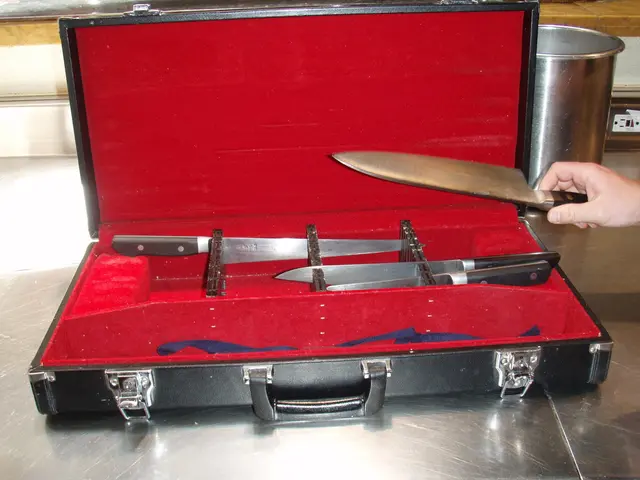 Unclaimed Luggage Sparks Decarceration Investigation - Federal Police in NRW Probe Case