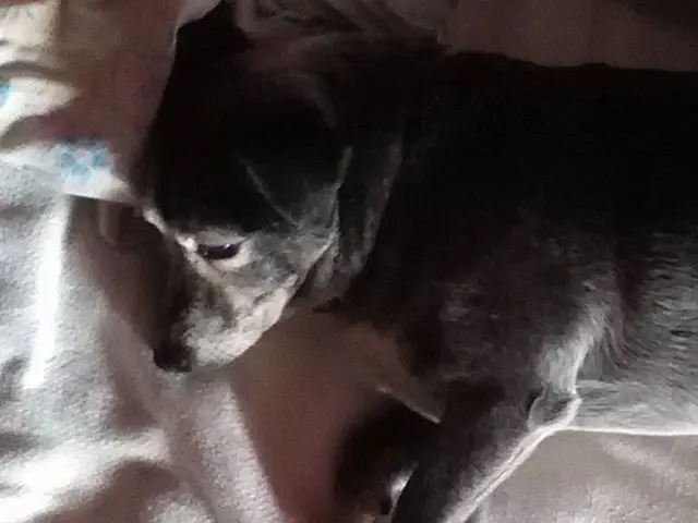 Experiencing persistent sounds in your head? Possible indication of Exploding Head Syndrome.