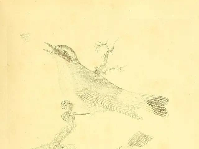 UMass Amherst study reveals dopamine's impact on songbird brain's adaptability