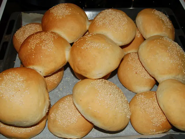 Beer industry waste transformed into cellulose nanofibers via upcycling process