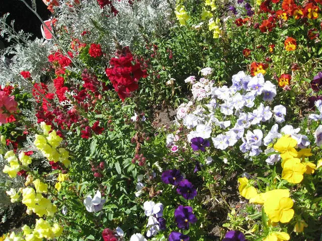 Vibrant and Imaginative Chrysanthemum Festival of 2025: A Blaze of Color and Innovation