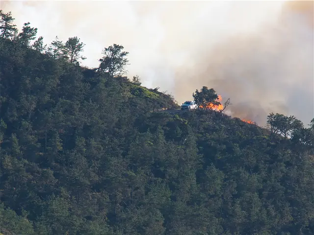 Firefighters in Garnet work tirelessly to prevent the fire from spreading towards the east in...