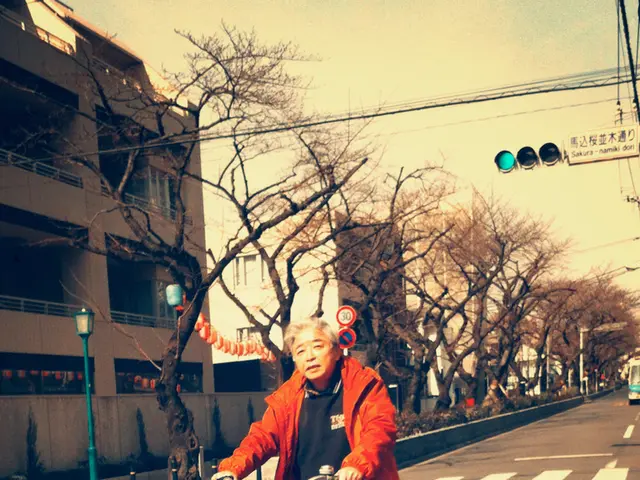 Internet Addiction Disorder Explained: A Focus on Compulsive Internet Usage