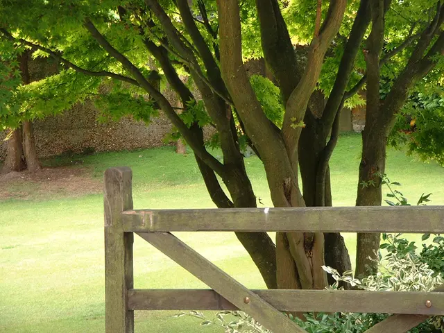 Identifying disguised eco-friendly declarations on Earth Day, aiding consumers