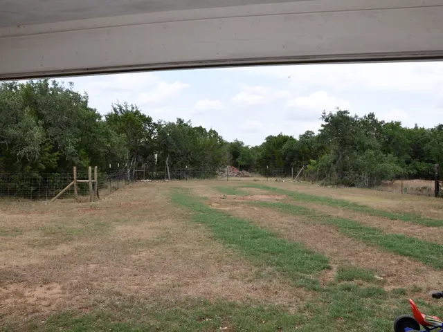 Strategies for Harmonious Coexistence in Territory Management and Native American Tribes