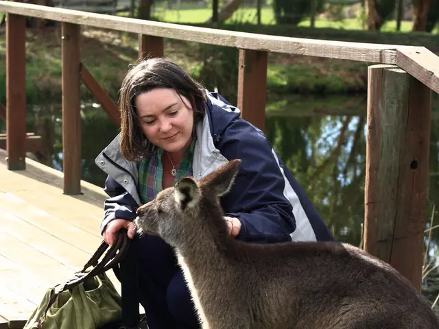 Strengthening Indigenous Participation within Governmental Institutions
