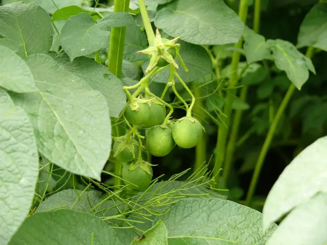 Sustainable finance remains a priority for MAS as it navigates challenges on a global scale