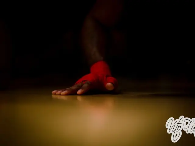 Artificial Intelligence in Dresden developing emotional capacities